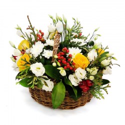 05020c7d958fbdeb4e151f82