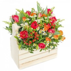 74683-131598-thickbox