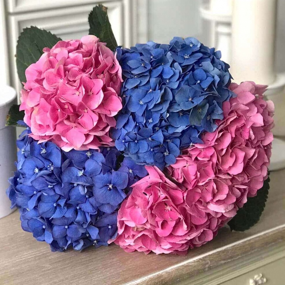 Букет «Волна»