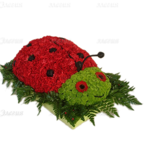 Божья коровка