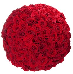 101roza1