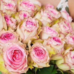 1633762108_18-oir-mobi-p-roza-pink-rafaello-tsveti-krasivo-foto-27