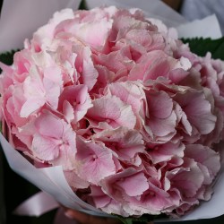 1cfbbba7afbad8a25b425159213c0096