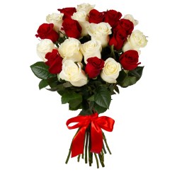 21_bel_krasn_roz_bol