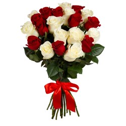 21_bel_krasn_roz_mal