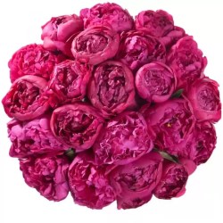 21rozpi-newflora.ru-1.jpg