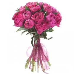 21rozpi-newflora.ru-2.jpg