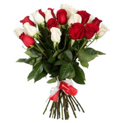 25_roz
