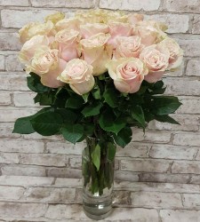 25_roz_pink-mond