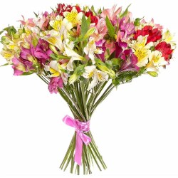25als60cm-Newflora.ru-4