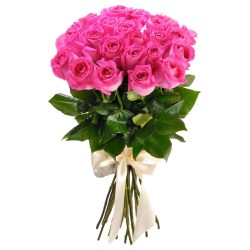 25pinkrose2