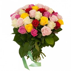 31_roza_mix
