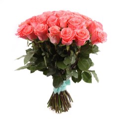 51_63798850bb409f8cbc4b6604bd99df18