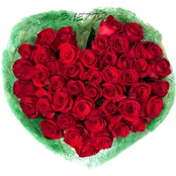51_roza_kr_2