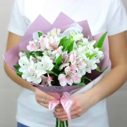 5_alstrmeriy