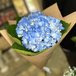 817a4f6b-d835-43cf-b507-3485a05b9db9