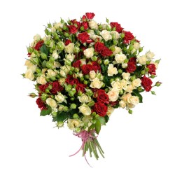 91a5c2c8_59633d7782aed