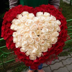 amournsk___bwrtmi4lldh___