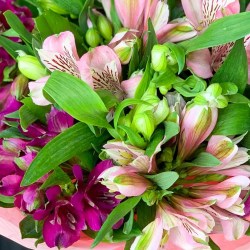 bouqet_alstromeria_purple_4