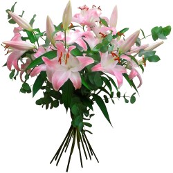 bouquet-haut-lys-rose_17193