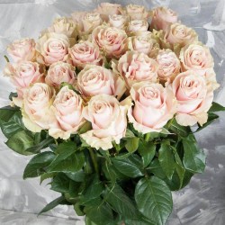 buket-25-rozovykh-roz-pink-mondial-70-sm-ekvador