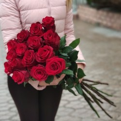 full_15_________1
