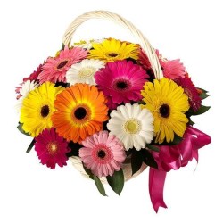 korzina-s-gerberami-quot-konfetti-quot.800x800