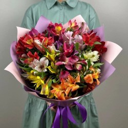 optimize43