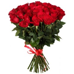 rosa-freedom-739159-1200x800